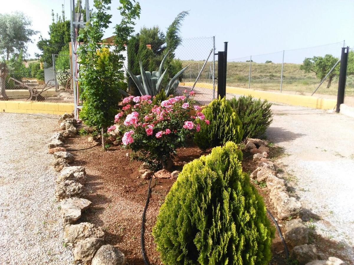 Pozo Alcón Alojamientos Rurales La Loma מראה חיצוני תמונה