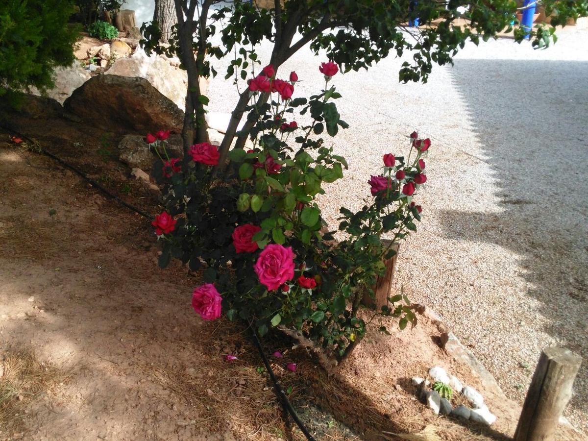 Pozo Alcón Alojamientos Rurales La Loma מראה חיצוני תמונה