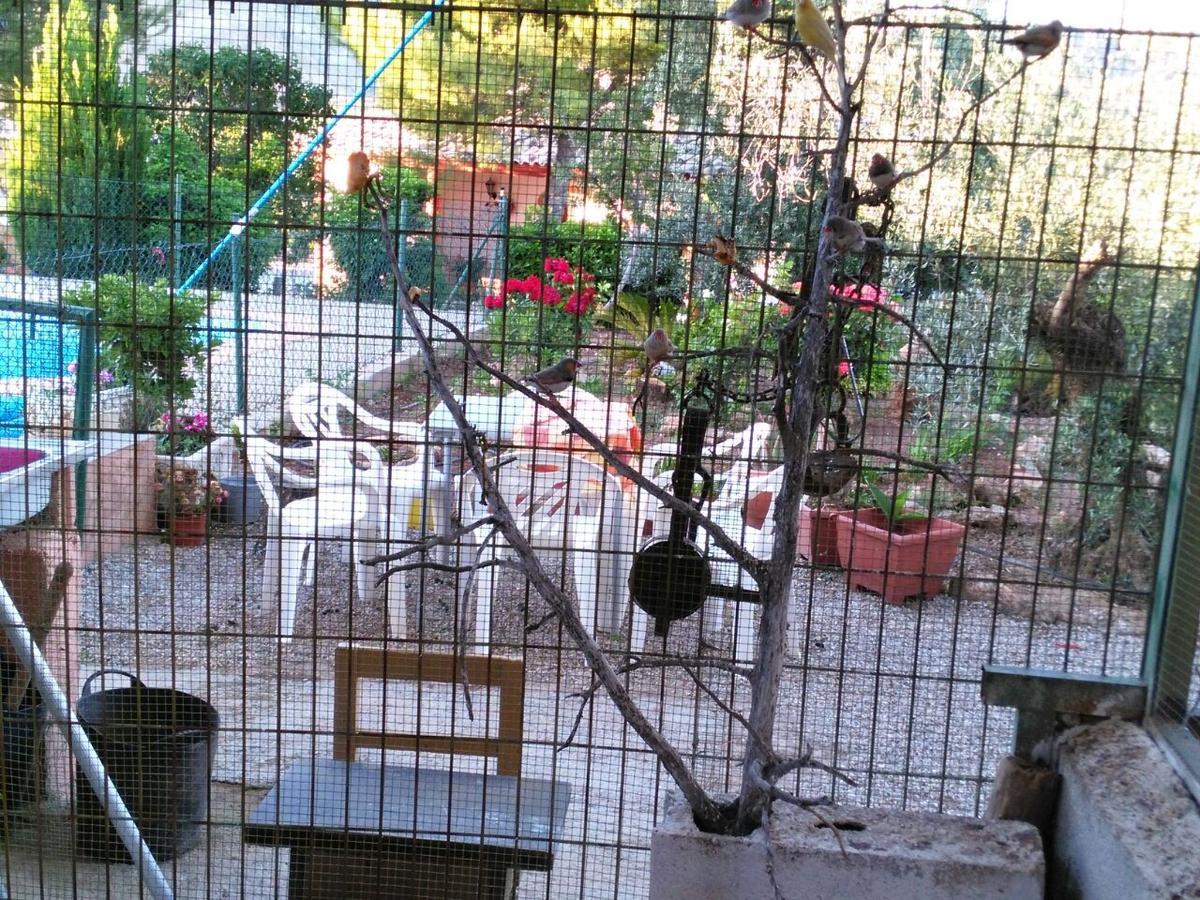 Pozo Alcón Alojamientos Rurales La Loma מראה חיצוני תמונה